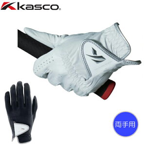 y [ցzLXR kasco DNA V[v rvfBX p StO[u GF-2012LW