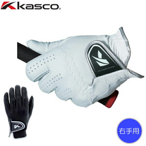 y [ցzyEpzLXR kasco DNA V[v rvStO[u GF-2012R