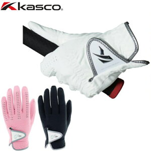 y [ցzLXR kasco DNA XG[h fBX StO[u SF-2010L