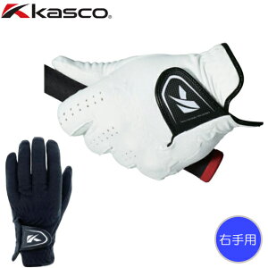 y [ցzyEpzLXR kasco DNA@XG[h StO[u SF-2010R