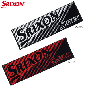 y12/4-12/11܂Ō聜Si|Cg10{(Gg[v)z y [ցz_bv XN\ SRIXON X|[c^I GGF-20456