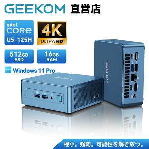 �u�N�[�|����111,920�~�vGEEKOM IT12 �~�jPC Intel Ultra 5 125U���� Win11 Pro minipc 128GB+10TB SSD�i�ő�g���j1095���ۏ؁b2.5G LAN�EWi-Fi7�EBT5.4�i���G�l�b�g���[�N�ł�����E����x���j�b4���8K�����o�́b��