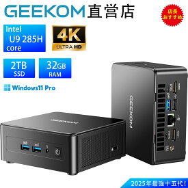 【数量限定・全品25%OFF】GEEKOM IT15 AI ミニpc 第15代 Intel Core U9 285H搭載 「12TB SSD+128GB DDR5（拡張可能）」USB4.0×2（Oculinkより安定）デスクトップ代替の高性能PC WiFi 7&BT5.4｜2.5G LAN｜静音冷却｜オフィス/在宅勤務/動画編集/ゲーミングに最適｜32GB+2TB