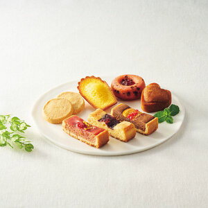 yP10{zΕ n[YVs@^gEĂَqZbg@SHHR50S Ε ~Mtg Mtg 蕨 v[g MtgZbg VN OMtg Ԍ  ʌ 