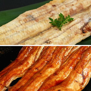 yP10{zΕ YȂ ×1 EYȂ Ă×1 Ε ~Mtg Mtg 蕨 v[g MtgZbg VN OMtg Ԍ  ʌ  l