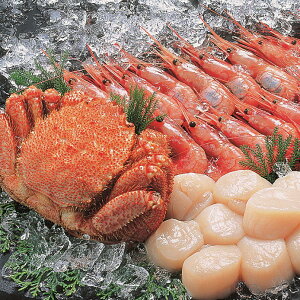 yP10{zΕ тɁEEуZbgiтɎp1(450g)EL300gEÂ400gj Ε ~Mtg Mtg 蕨 v[g MtgZbg VN OMtg Ԍ  