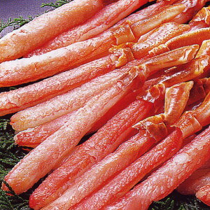 yP10{zΕ Ⓚ YCKj|[V 500g Ε ~Mtg Mtg 蕨 v[g MtgZbg VN OMtg Ԍ  ʌ  YCKj