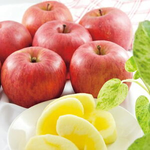 yP10{zΕ XY Tӂ Gi(2kg) Ε ~Mtg Mtg 蕨 v[g MtgZbg VN OMtg Ԍ  ʌ 