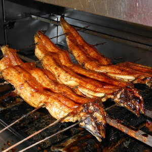 yP10{zΕ YȂ@ 1@ Ε ~Mtg Mtg 蕨 v[g MtgZbg VN OMtg Ԍ  ʌ  lCi