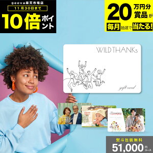 y20~ܕi+P10{+r[Ly[zJ^OMtg 51000~ ChTNX oYj j v~A MtgJ^O ʐ^MtgJ[h J[h^J^O