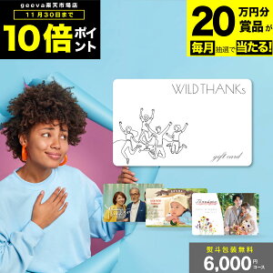 y20~ܕi+P10{+r[Ly[zJ^OMtg 6000~ ChTNX oYj j v~A MtgJ^O ʐ^MtgJ[h J[h^J^OM