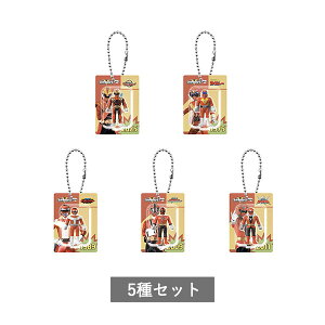 y\񏤕i 11\ zX[p[V[Y g\truX^[`[RNV S5 Zbg Rv[g K` 