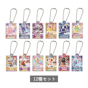 y\񏤕i 2026N1\ zACJcI łAChAN`[3 S12 Zbg Rv[g K` 