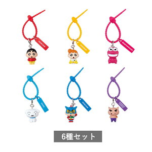 y\񏤕i 11\ zN񂿂 Jt}``[ S6 Zbg Rv[g K` 