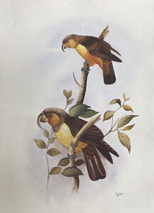 LlJJ ̊G ` Ŏ |X^[ z E̒ CeA Ǌ| 