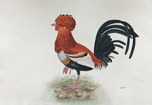 jg ̊G ` Ŏ |X^[ z E̒ CeA Ǌ| 