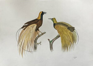 IItE`E ̊G ` Ŏ |X^[ z E̒ CeA Ǌ| 