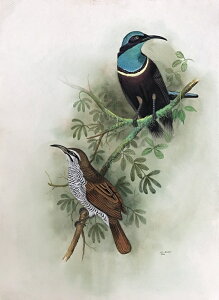 IIRtE`E ̊G ` Ŏ |X^[ z E̒ CeA Ǌ| 