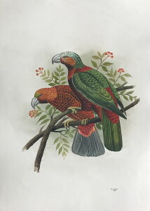 JJ ̊G Ŏ |X^[ z E̒ CeA Ǌ| 