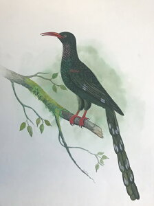 ~hcKV ̊G ` Ŏ |X^[ z E̒ CeA Ǌ| 