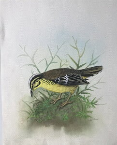 LiLAh ̊G ` Ŏ |X^[ z E̒ CeA Ǌ| 