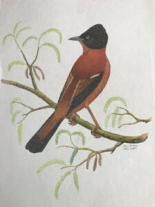 VEWEEJ`E ̊G ` Ŏ |X^[ z E̒ CeA Ǌ| 