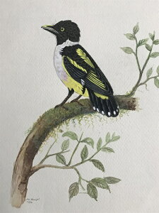 NrqnV ̊G ` Ŏ |X^[ z E̒ CeA Ǌ| 