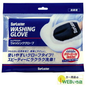 S-106　ウォッシンググローブ　【クリックポスト】　シュアラスター SurLuster　S106