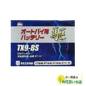 KAKERU�@TX9-BS�@��փo�b�e���[�@��@�yBR�z