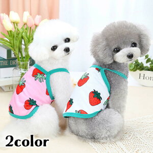  hbOEFA L~\[  L ybgpi ^ vI[o[ Jbg\[ C`S     킢 JWA fC[ o U K[[ L