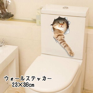  EH[XebJ[ ǎV[ V[^Cv L lR ˂ ܂G gbNA[g [fR[V EH[fR[V  킢 낢 q 