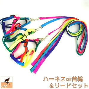  [hn[lX [h 2_Zbg Of[VJ[ ̃[h  J[ UObY p Vv ObY 120cm×1cm ^ ^