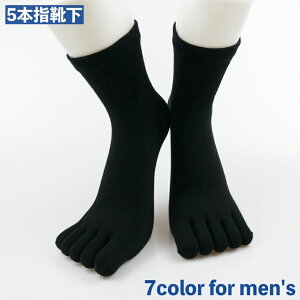  5{wC 5{w\bNX Y jp am   ܖ{w N[ n PF Vv g₷ 킹₷ JWA o ig fC[ t@bV