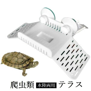 �������� ঒��� ���� �����p ������ �J�� �g�J�Q �����ڂ��� �V�F���^�[ �B��� �e���X �A�N�A���E�� �T �z�Օt�� �x�e ���n