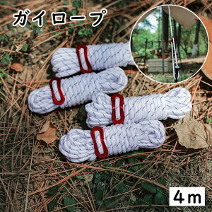  KC[v eg[v 4m Lvpi ݋t ˍ R   egObY AEghA Lv BBQ