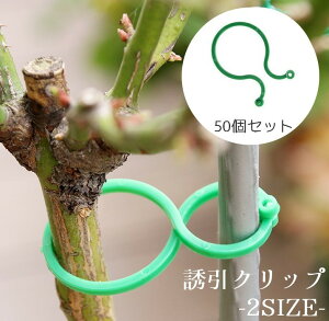  UNbv |Nbv 50 _ | K[fjO ږ  oh Œ    ֗Nbv