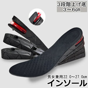 送料無料 インソール シークレットインソール メンズ レディース 男女兼用 中敷き インヒール 3段階調節 厚底 上げ底 身長アップ