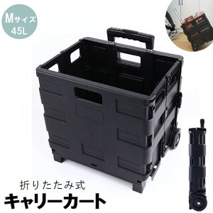  L[J[g  MTCY 45L ܂肽 Rei^ ^ WȂ AEghA Lv  VbsO X|[c W[ s