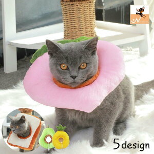  GUxXJ[ \tgGUxXJ[ L lR  Ck ybgpi z Ȃߖh~ p Ђh~ ~h~ ی veN^[ NbV 炩 킢