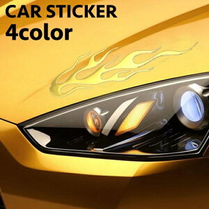  J[XebJ[ JX^p[c V[ Pi  t@CA[ 3D ̓I ԗp  O  hXAbv ȒP \邾 DIY   J[ObY ԃANZT[