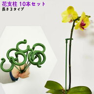 送料無料 花支柱 植物支柱 10本セット 花支え 花ささえ 観葉支柱 フラワー支柱 フラワーサポーター フラ…