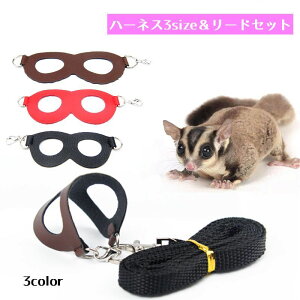  n[lX ybg  [h  4_Zbg [h n[lX Zbg  L PU K 