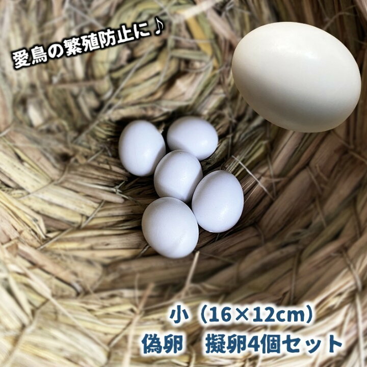 楽天市場】送料無料 偽卵 擬卵 4個セット 12×16mm ダミー卵 フェイク卵 
