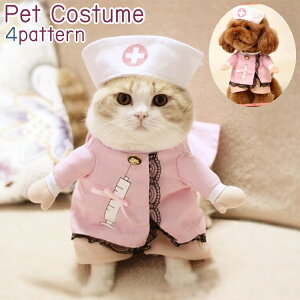  ybgpRX`[ RXv  L Lp ybg RXv  i[X JE{[C  ϑ 킢 ʔ ^ p[eB[