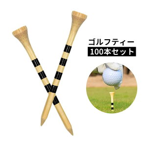  SteB[ 100{Zbg eB[yO OeB[ 70mm X|[c Stpi Eh ڐt KCht  e