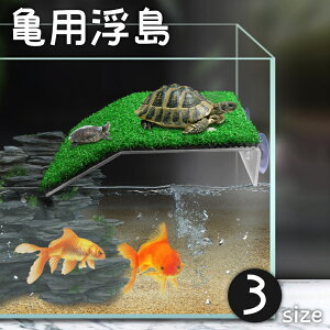   T J ybgp ঒  lH Ő  ڂ xe z ȒPݒu  