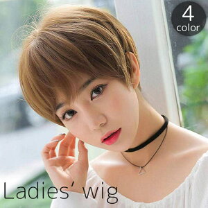 送料無料 フルウィッグ ベリーショート ヘアウィッグ 全頭かつら 前髪 ふんわり 爽やか ナチュラル 自然 イメチェン 茶髪 黒髪 ブラック ブラウン おしゃれ かわいい