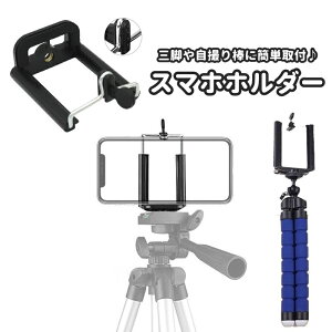  X}zz_[ Orp Orz_[ X}[gtHANZT[ U^ X}z X}[gtH g Œ B_ ZJ_  ʐ^  Be B Vv ֗ ubN 