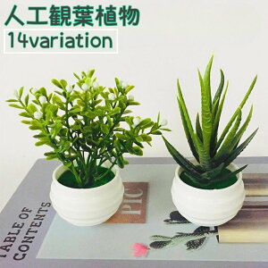  lHϗtA tFCNO[  ͂Ȃ A |bgt  u Aؔ  G v[g 蕨 CeA 