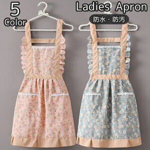  Gv H^ | Vv  wl fB[X JtFGv h h ԕ t[   tF~j t |Pbgt ɂ |  Ǝ ` 